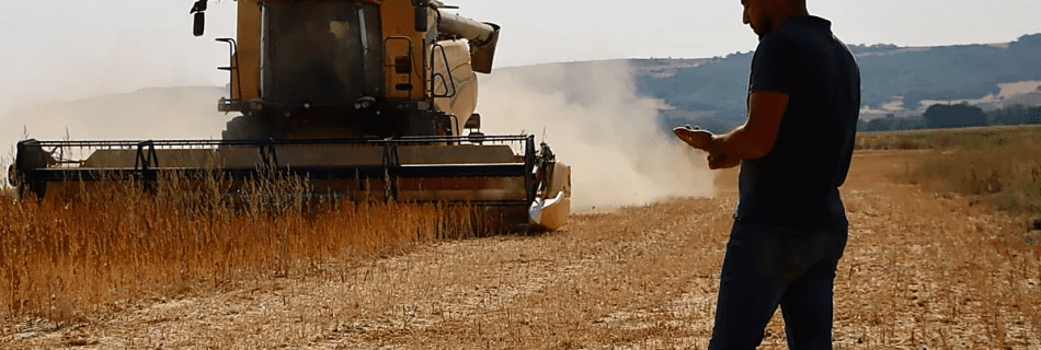Quinea en el norte de castilla